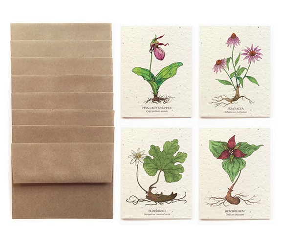 "At-Risk Flowers" Card Set - Bower Studio